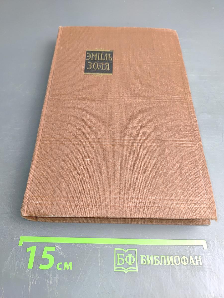 Разгром. Том 15