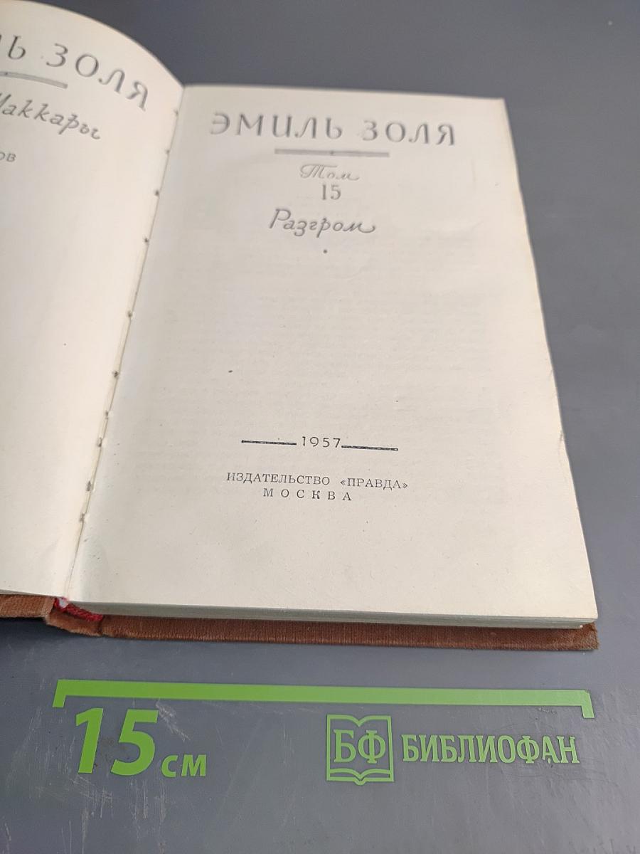 Разгром. Том 15