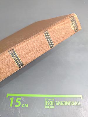 Разгром. Том 15