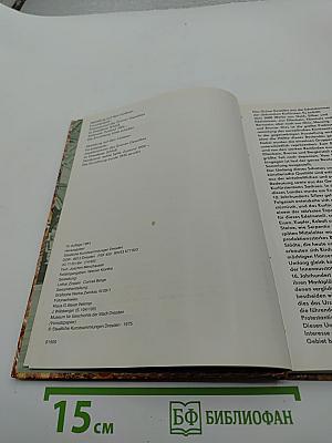 Einführung in das grüne gewölbe