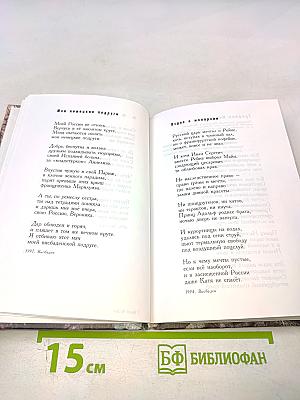 Вечер на Рейне. Стихи