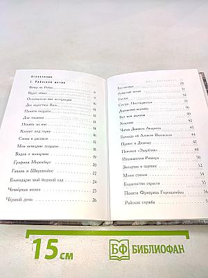 Вечер на Рейне. Стихи