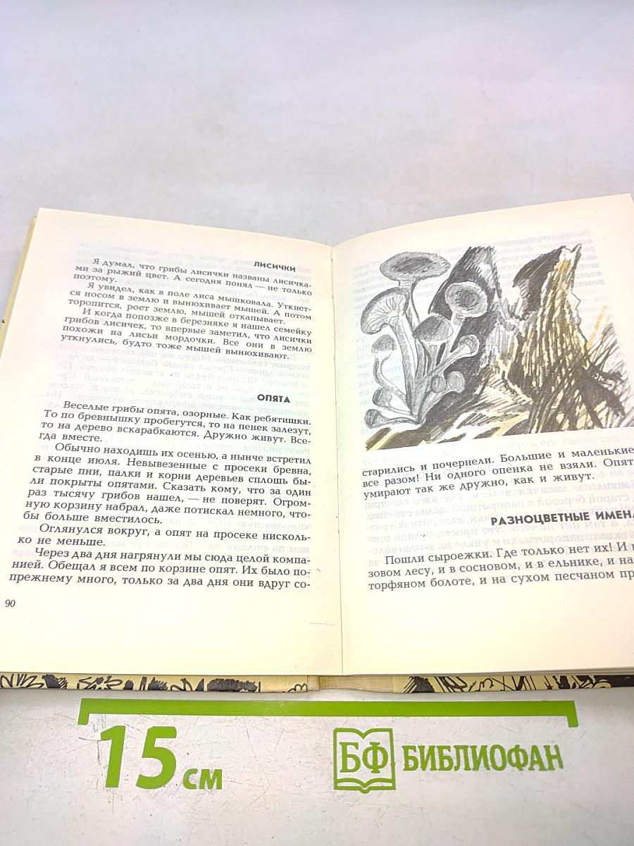 Пешком по звездам