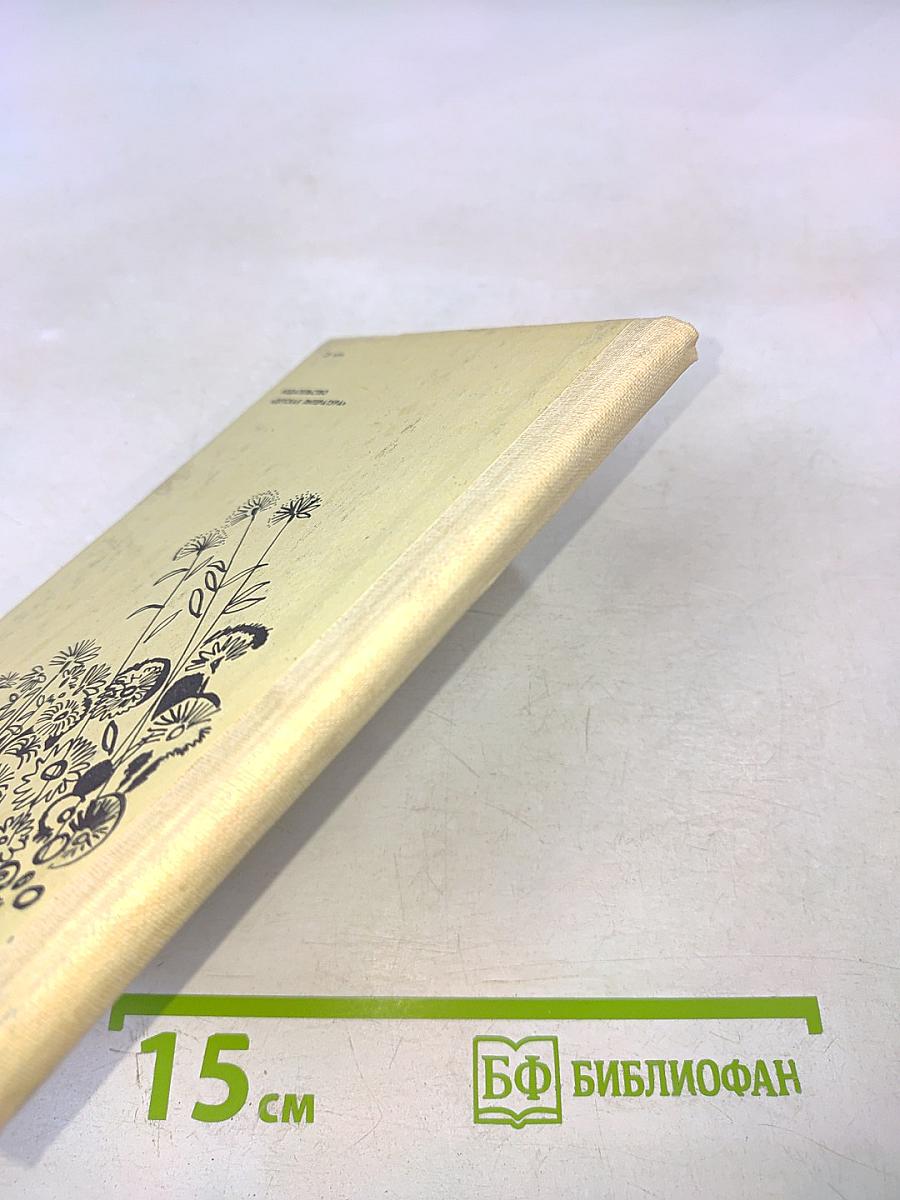 Пешком по звездам