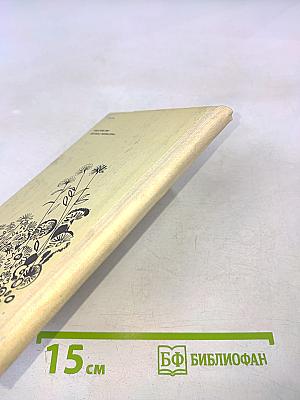 Пешком по звездам