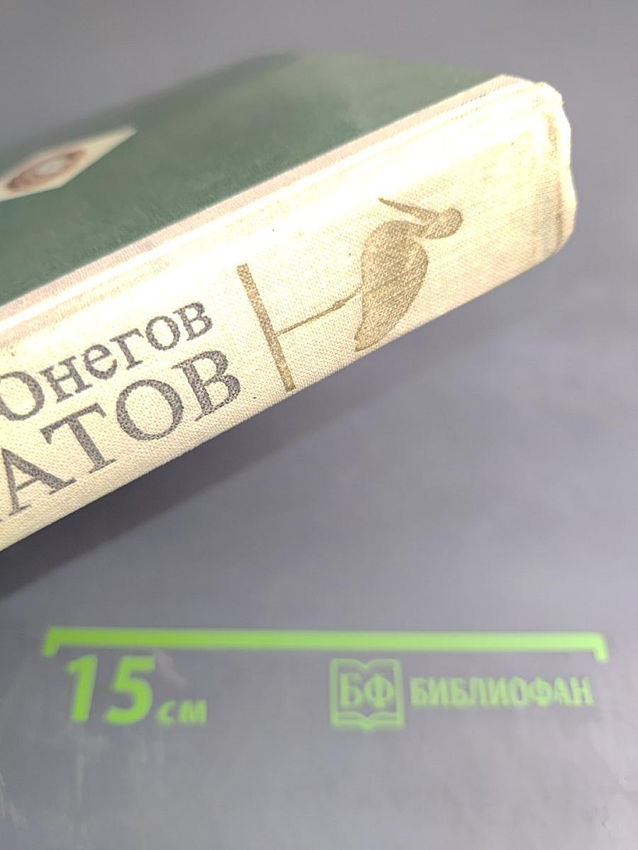 Школа юннатов: Наши пернатые друзья и соседи