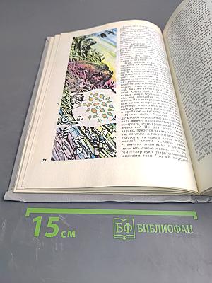 Хочу всё знать