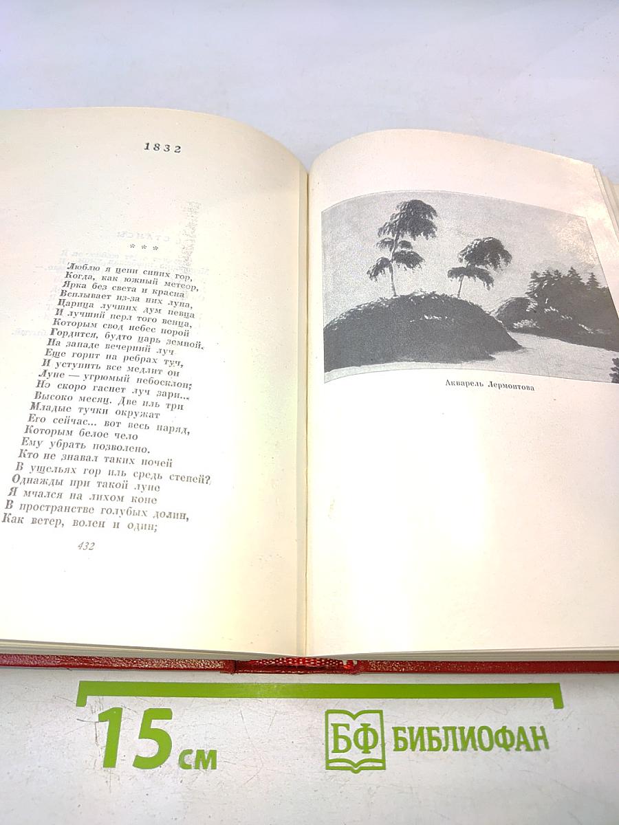 Собрание сочинений. Том первый. Стихотворения
