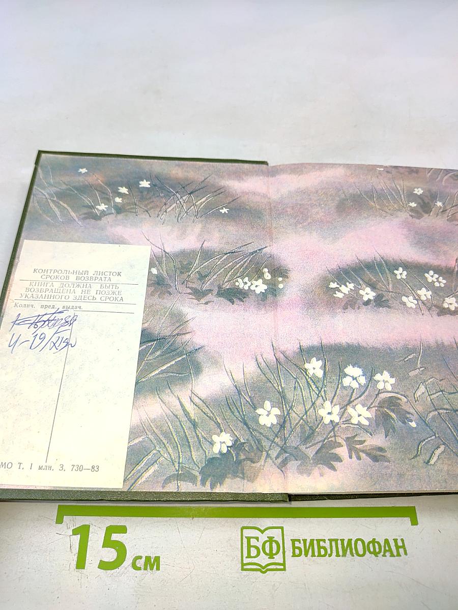 Березовый свет