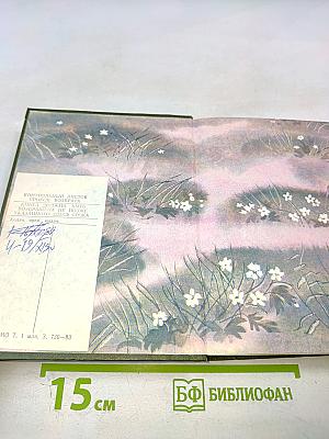 Березовый свет