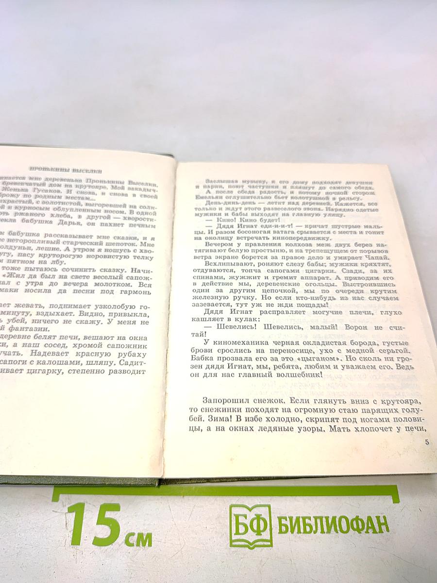 Березовый свет