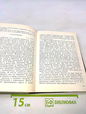 Березовый свет