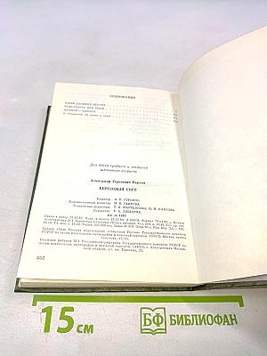 Березовый свет