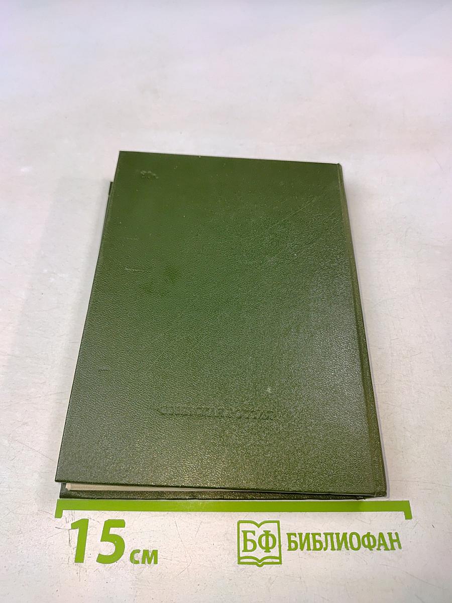 Березовый свет