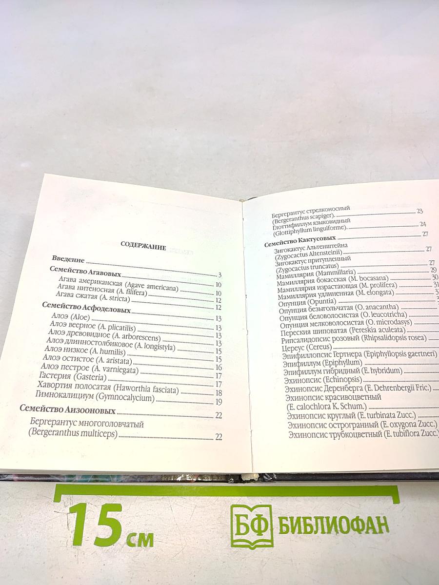Кактусы. Выращивание и уход