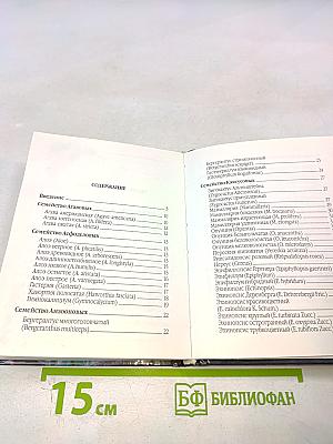 Кактусы. Выращивание и уход