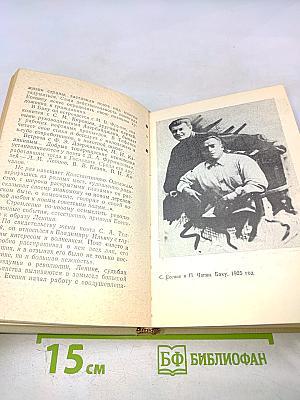 Есенин и его поэзия