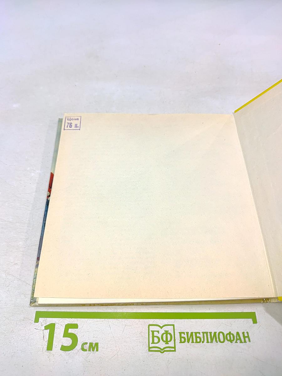 RC-Flugmodelle und RC-Modellflug