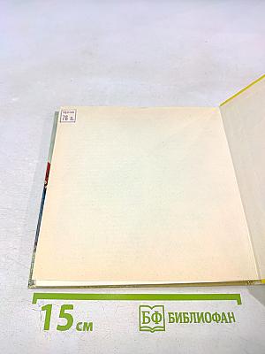 RC-Flugmodelle und RC-Modellflug