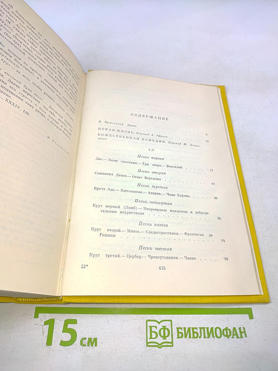 Божественная комедия. Новая жизнь