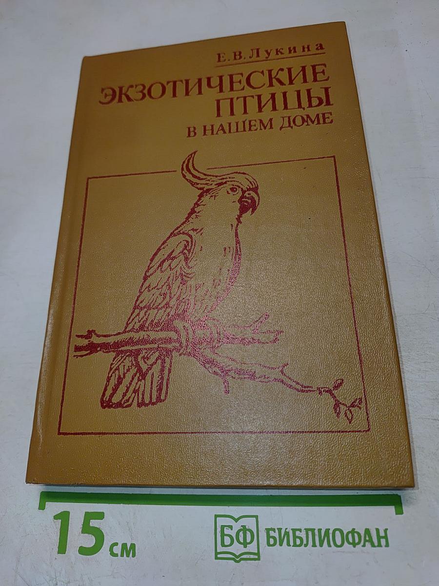 Экзотические птицы в нашем доме