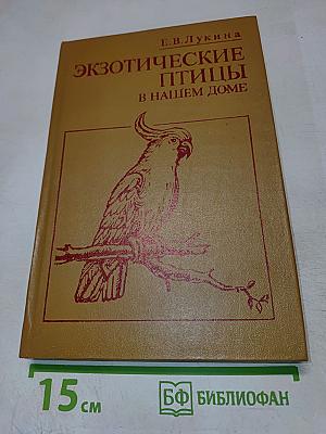 Экзотические птицы в нашем доме