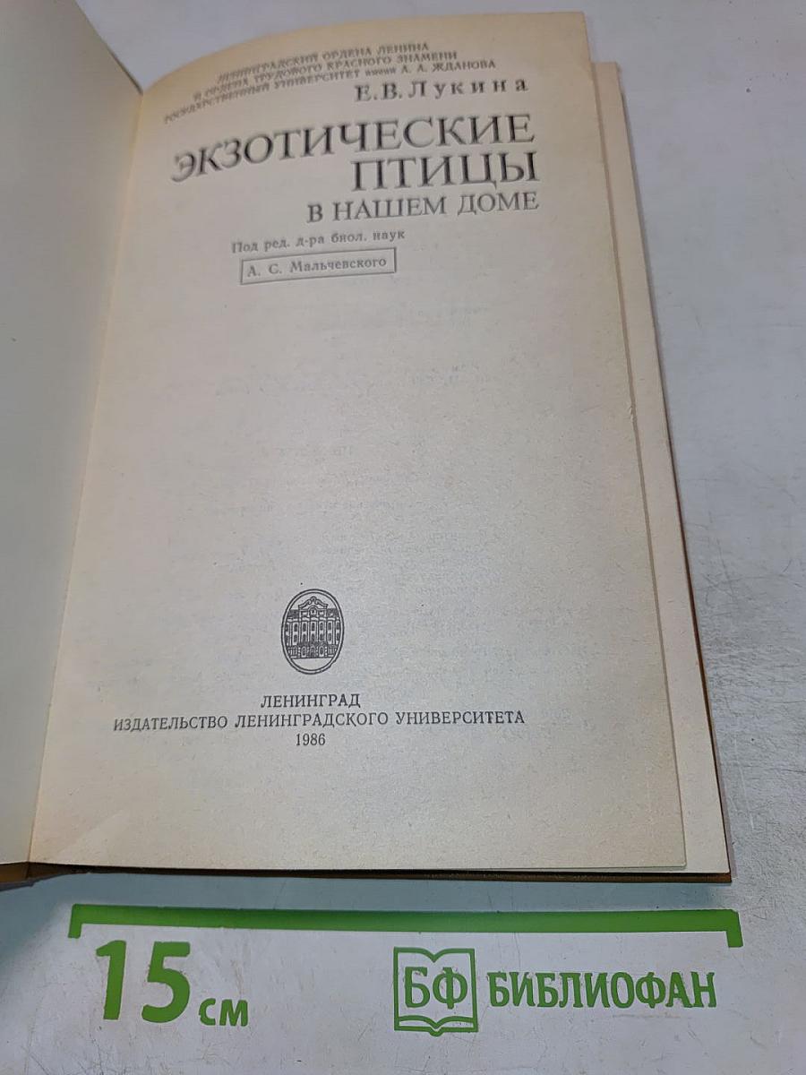 Экзотические птицы в нашем доме
