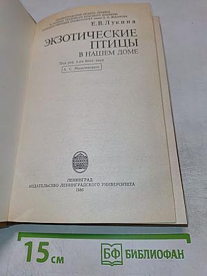 Экзотические птицы в нашем доме