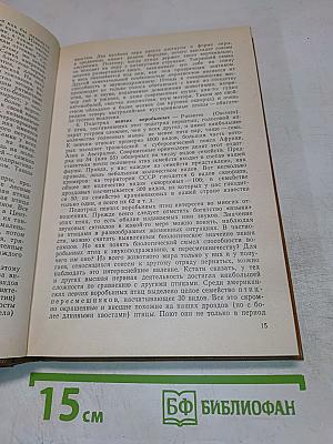 Экзотические птицы в нашем доме