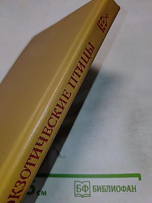 Экзотические птицы в нашем доме