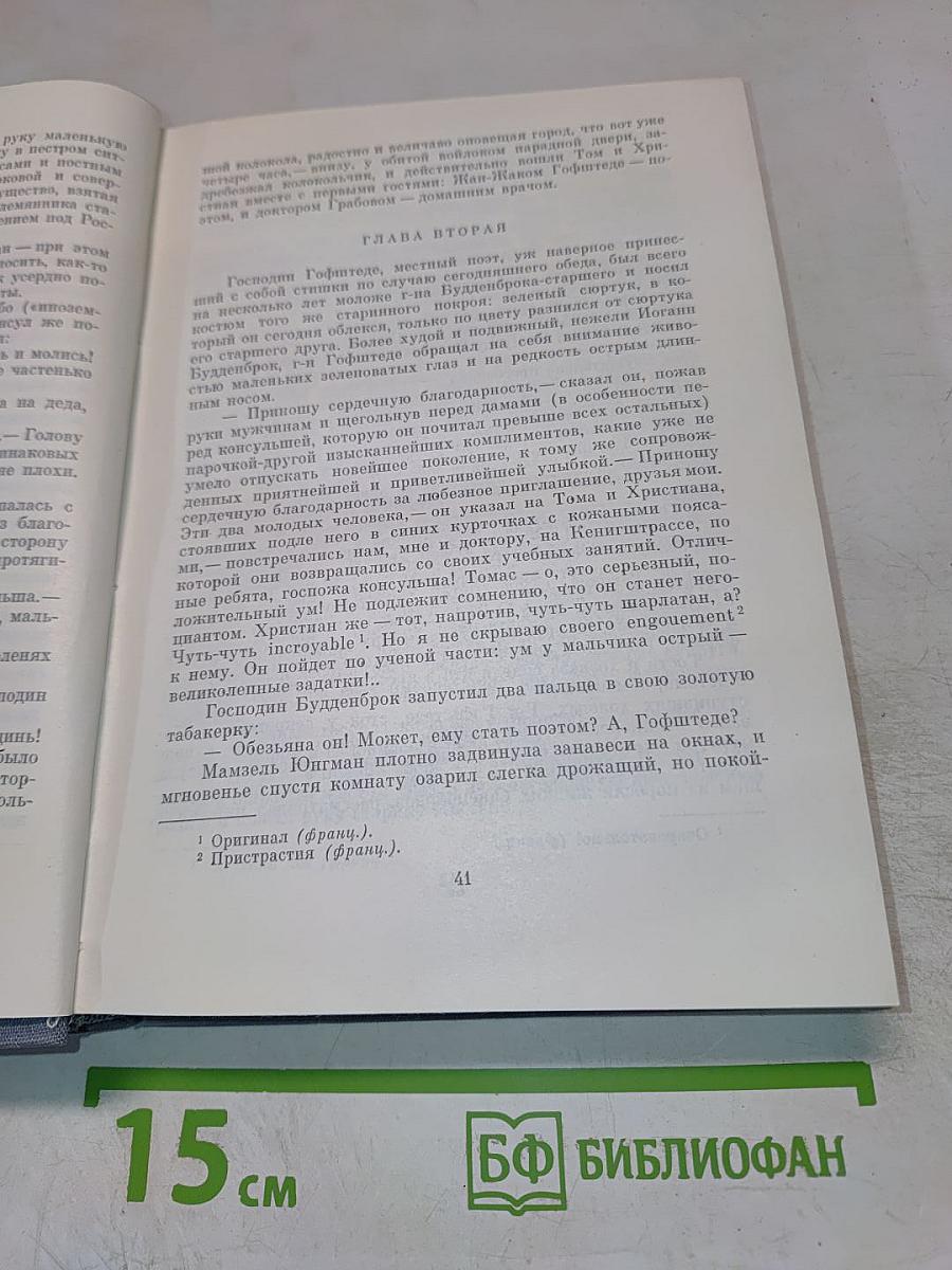 Будденброки. История гибели одного семейства