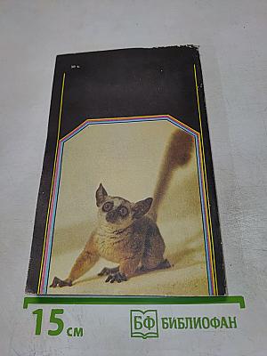 Занимательная приматология