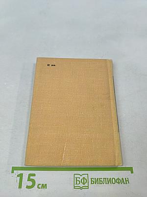 Перед праздником