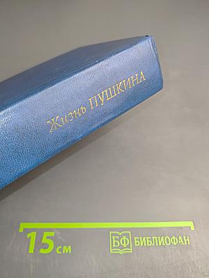 Жизнь Пушкина рассказанная им самим и его современниками. Том второй
