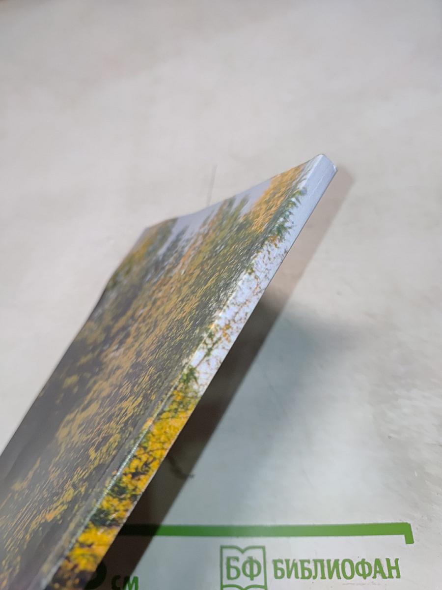 Почти всерьез