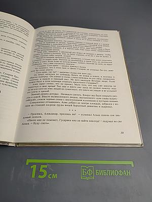 Путешествия по Петербургу с Аликом и Гусариком Часть I