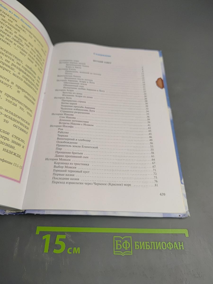 Твой лучший друг