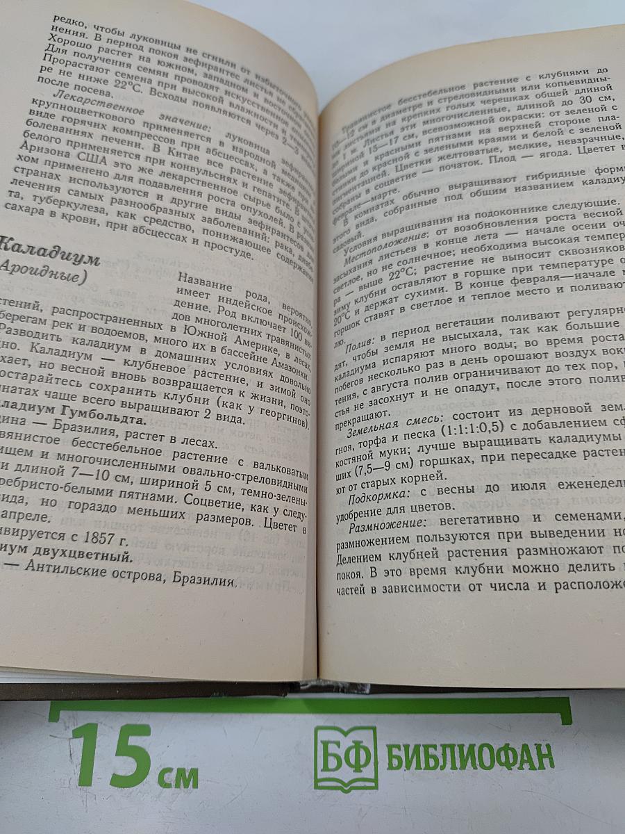 Среди цветов