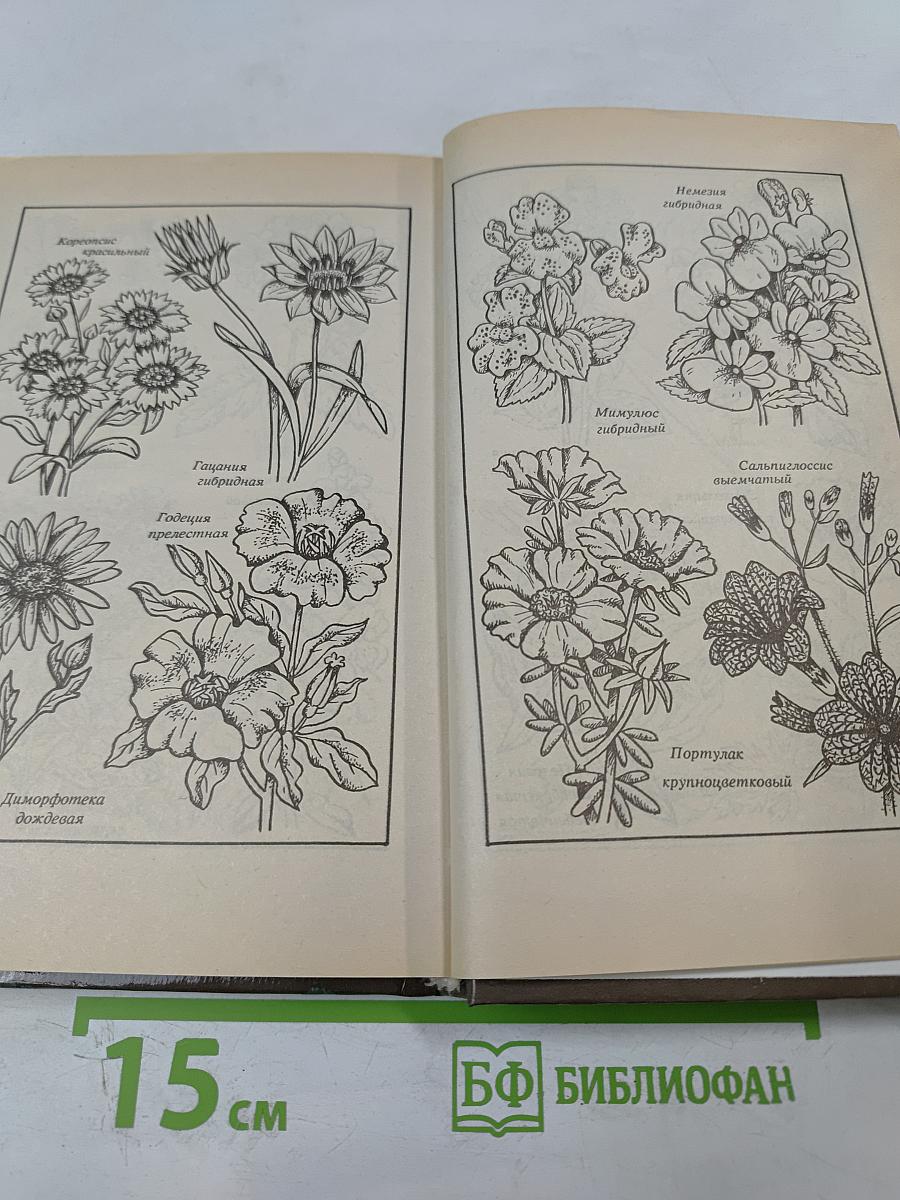 Среди цветов