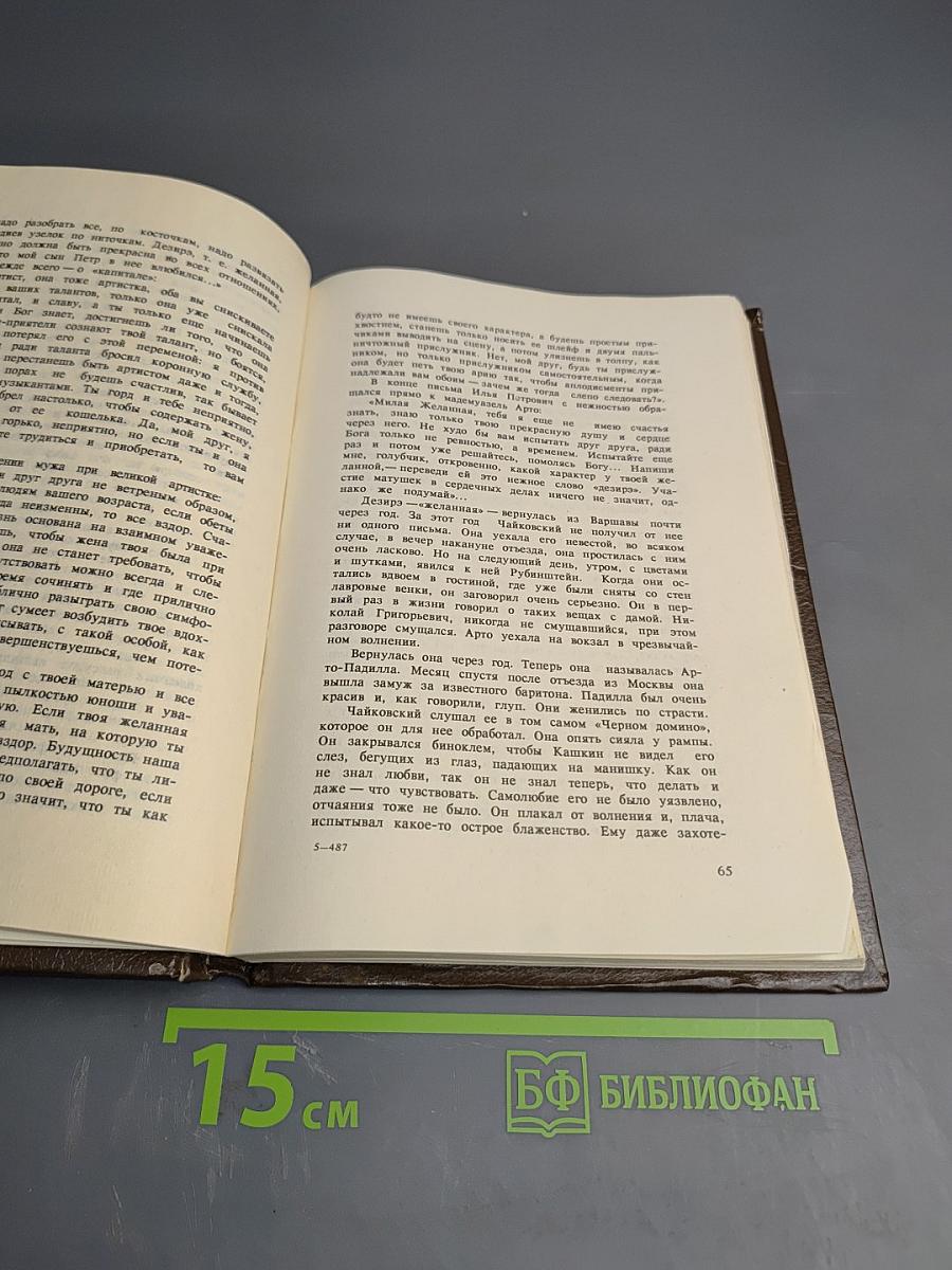 Чайковский. История одинокой жизни