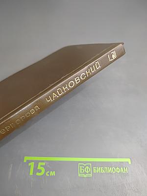 Чайковский. История одинокой жизни