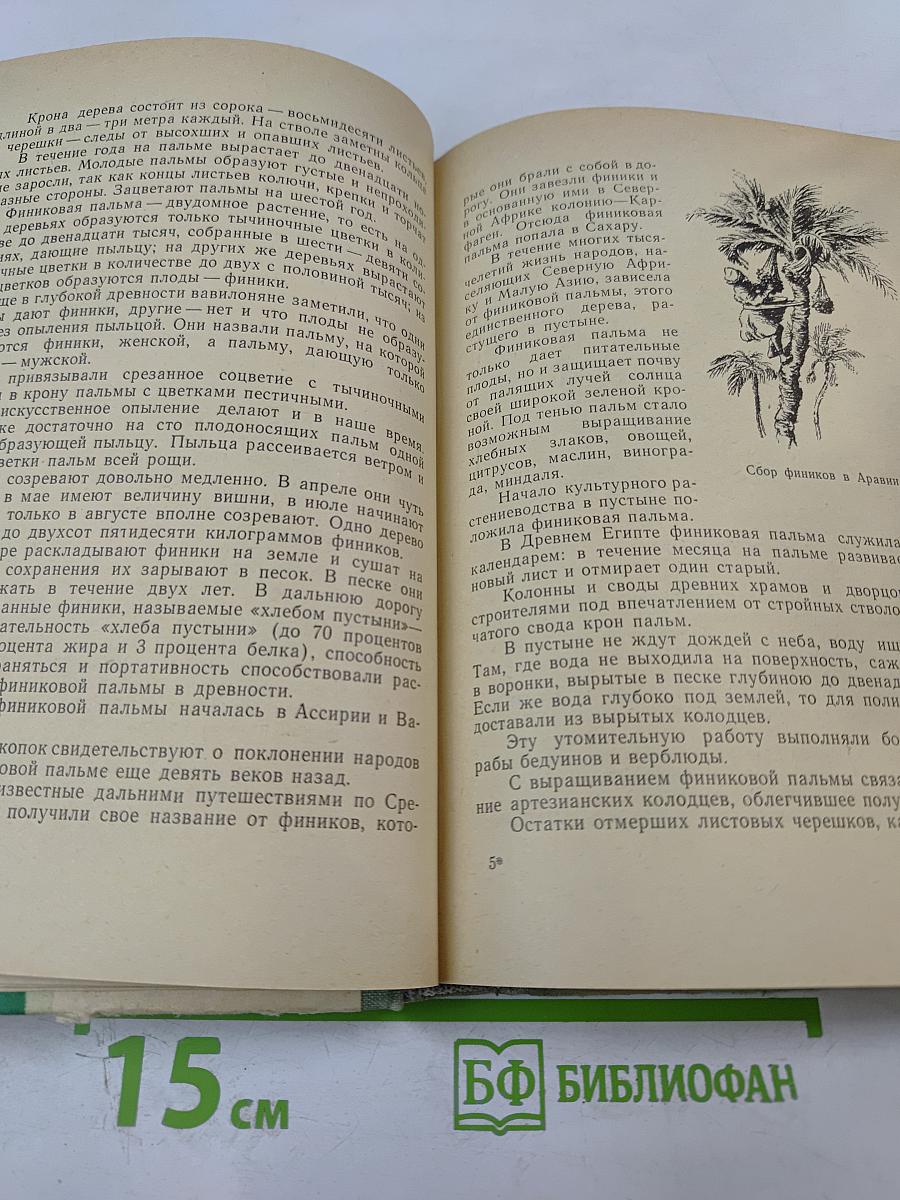 Путешествие с домашними растениями