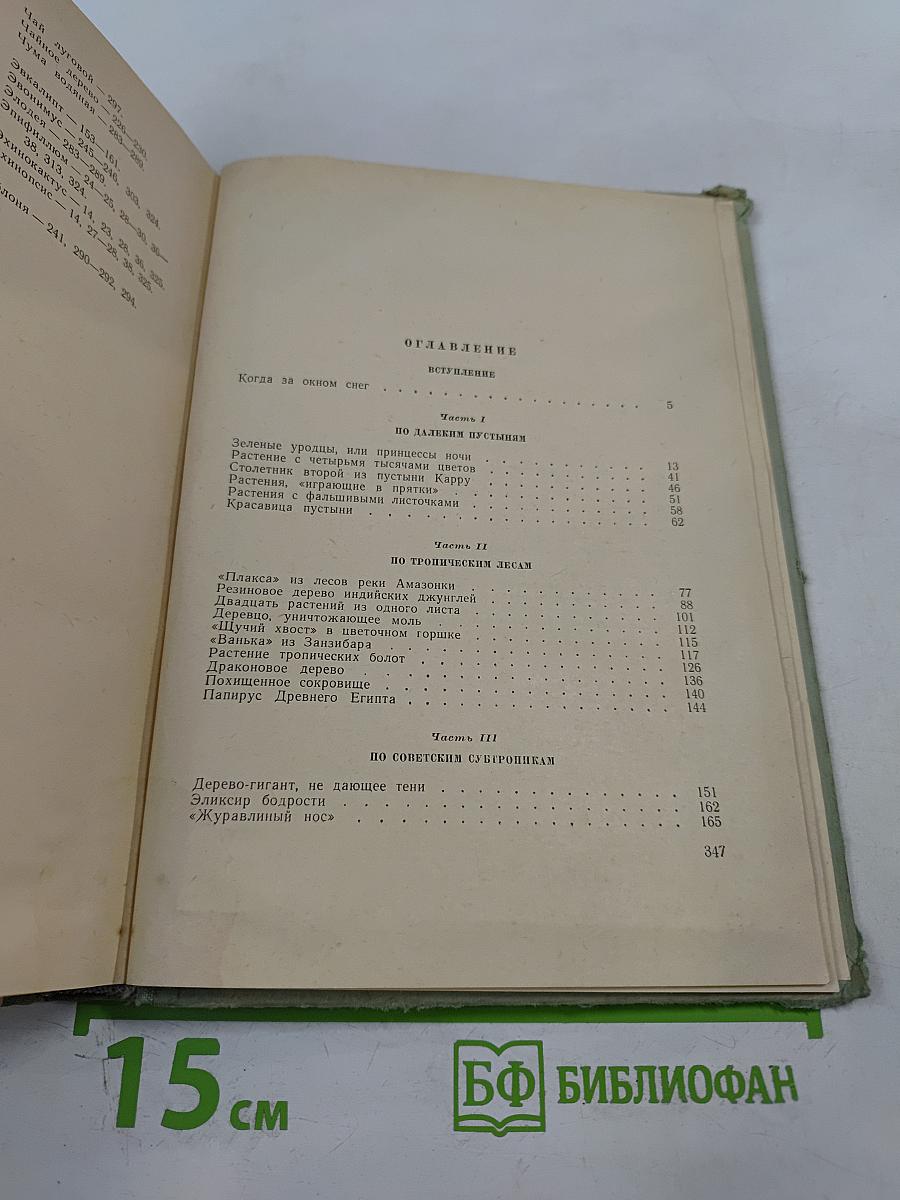 Путешествие с домашними растениями