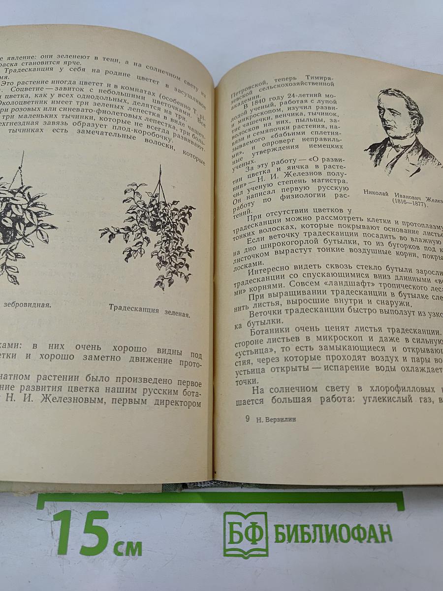 Путешествие с домашними растениями