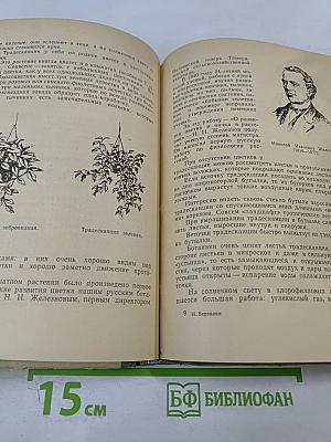 Путешествие с домашними растениями