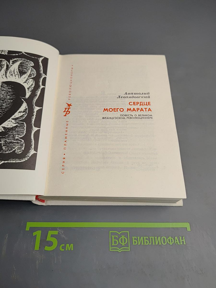 Сердце моего Марата