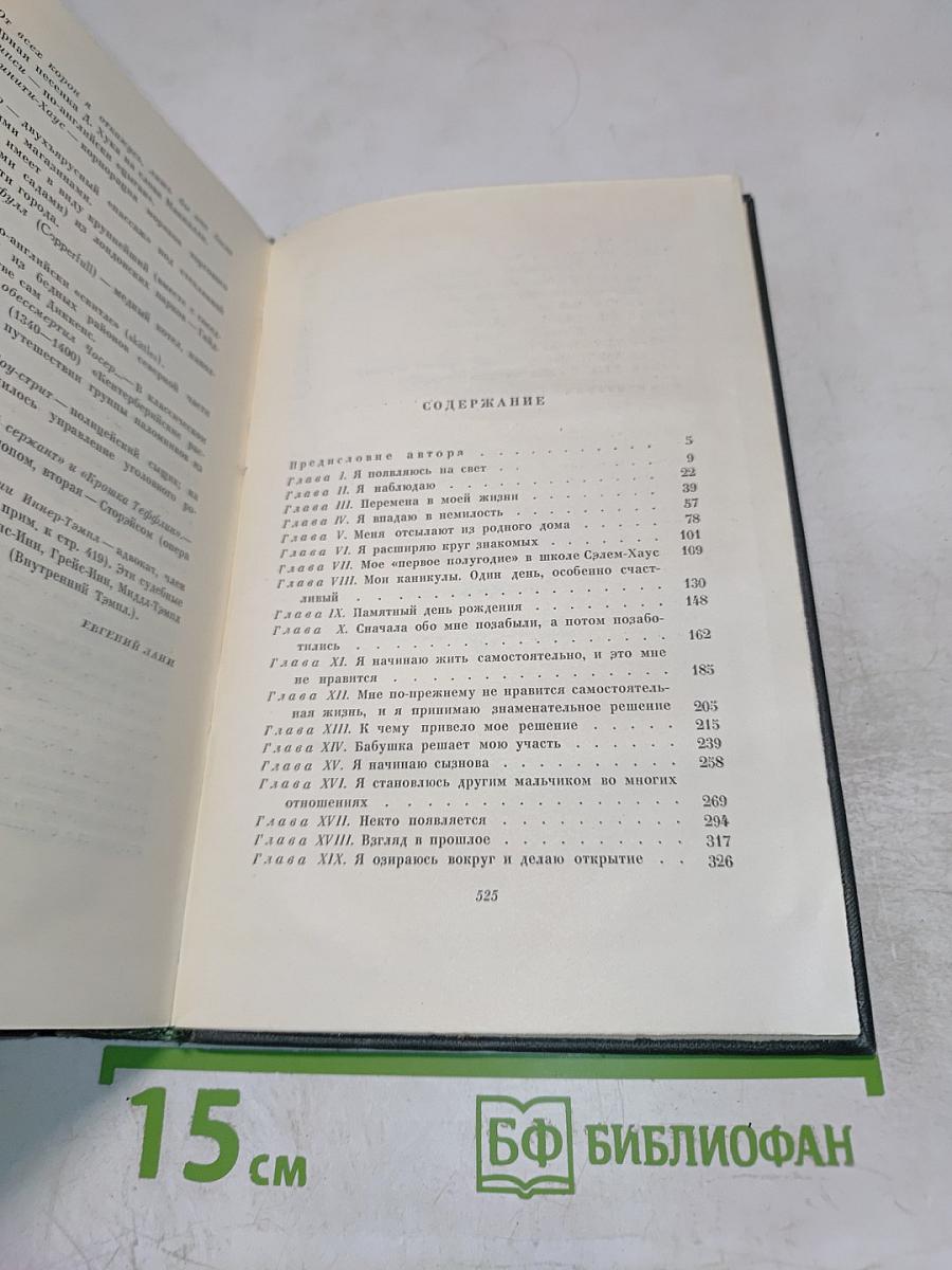Собрание сочинений. Том пятнадцатый. Жизнь Дэвида Копперфилда, рассказанная им самим (Главы I-XIX)