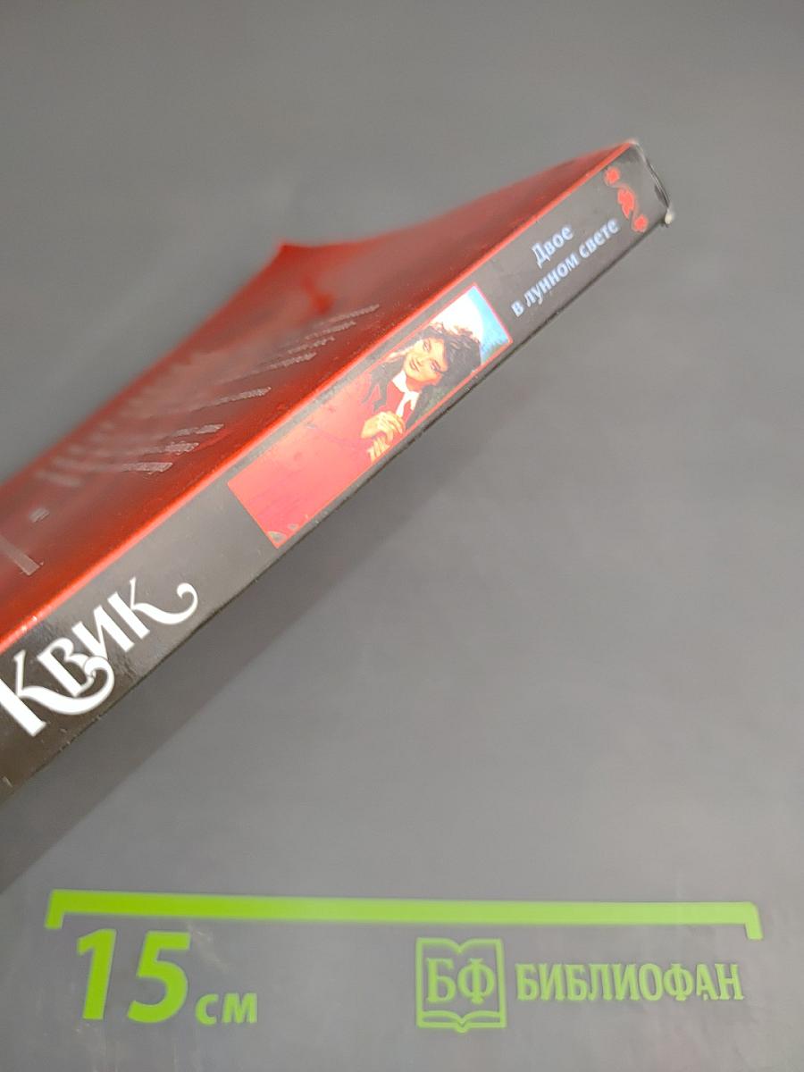 Двое в лунном свете