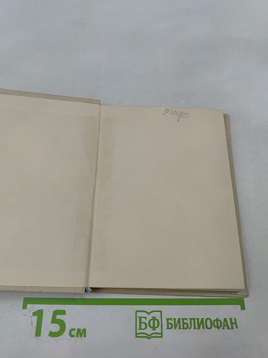 Стихи с дороги