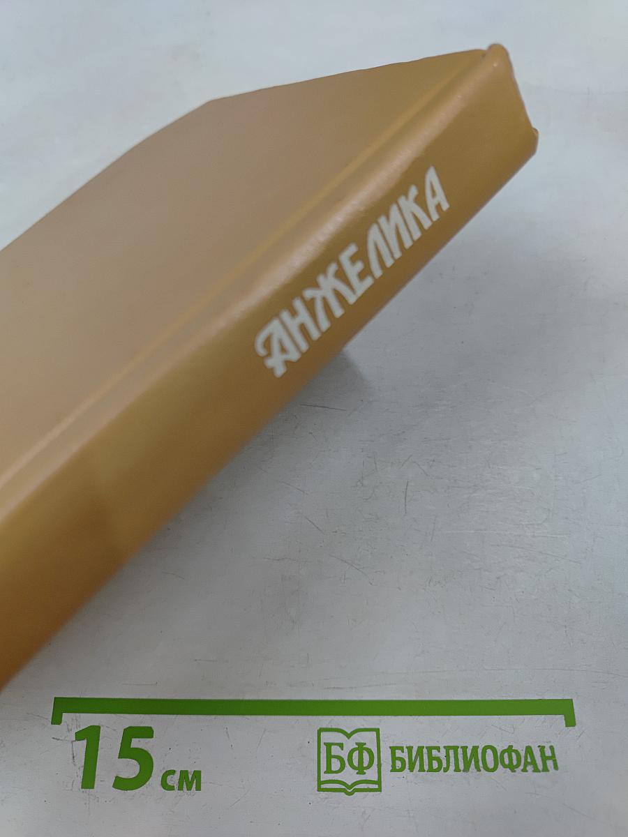 Анжелика: Путь в Версаль, Анжелика и Король, Анжелика в Гневе